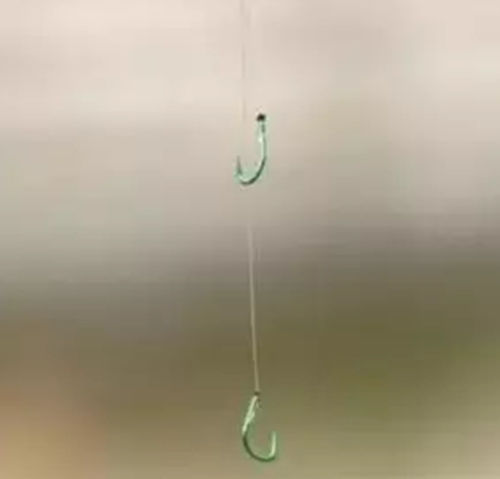夏天怎么钓鱼鲢鳙_WWW.YUJUCEPING.COM
