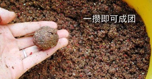 东江湖钓鲫鱼饵料配方_WWW.YUJUCEPING.COM