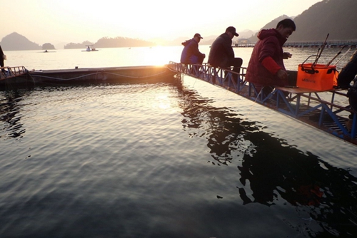 千岛湖筏钓翘嘴钓法_WWW.YUJUCEPING.COM