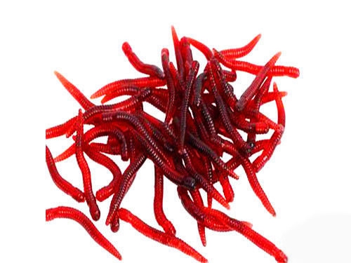 路亚软饵的种类和使用技巧_WWW.YUJUCEPING.COM