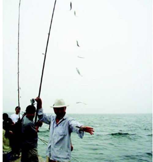 “空钩”钓鲤需要注意事项_WWW.YUJUCEPING.COM