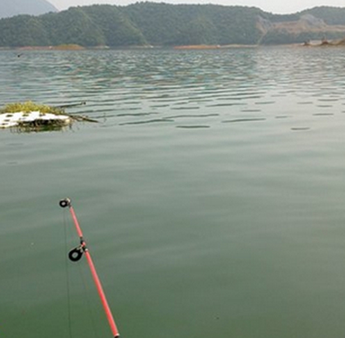 筏钓入门常识分享（二）_WWW.YUJUCEPING.COM