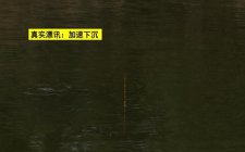 悬坠钓时浮漂的鱼讯语言