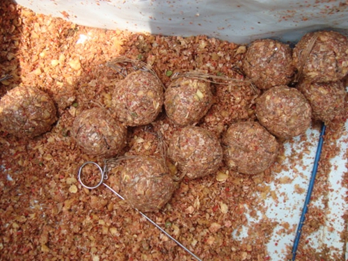 手竿野钓麝香饵料的使用方法_WWW.YUJUCEPING.COM