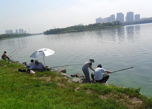 夏天高温天钓鱼的技巧_WWW.YUJUCEPING.COM