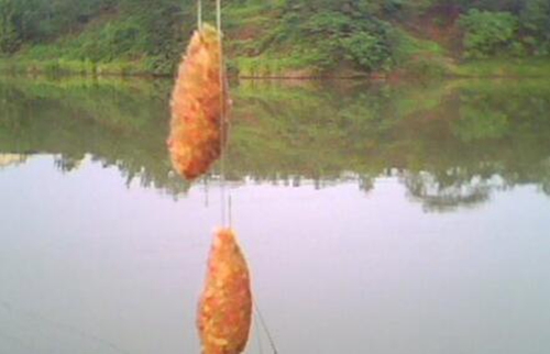 夏天河边钓鲫鱼的技巧_WWW.YUJUCEPING.COM