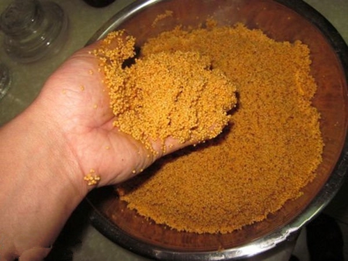 麝香打窝子的使用方法_WWW.YUJUCEPING.COM