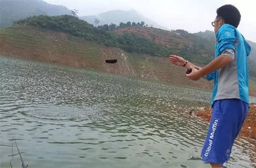 夏天钓鱼打窝补窝技巧_WWW.YUJUCEPING.COM