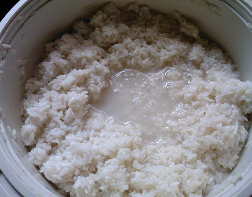 夏天江河钓鲤鱼饵料技巧_WWW.YUJUCEPING.COM