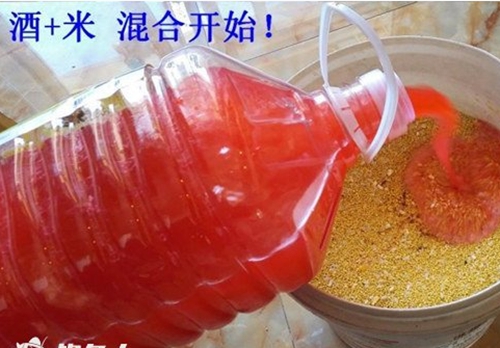 夏天江河钓鲤鱼饵料技巧_WWW.YUJUCEPING.COM