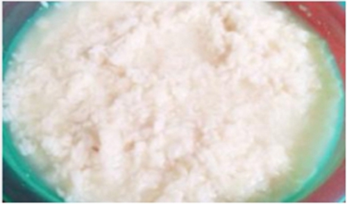 自制大米酒糟饵料_WWW.YUJUCEPING.COM