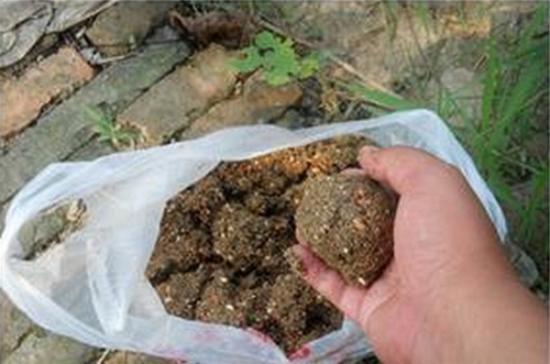 野外浑水钓鱼技巧_WWW.YUJUCEPING.COM