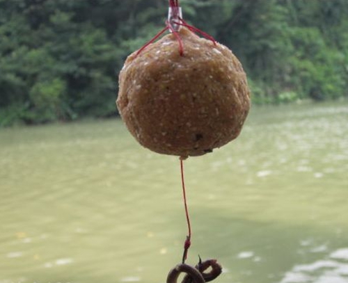 夏天肥水塘钓鲫鱼用饵_WWW.YUJUCEPING.COM