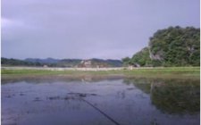 野钓调漂2步法