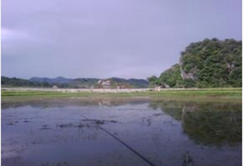 野钓调漂2步法_WWW.YUJUCEPING.COM