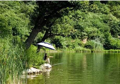 夏天钓鱼选位技巧_WWW.YUJUCEPING.COM