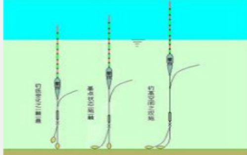 关于台钓常见的10种漂象_WWW.YUJUCEPING.COM