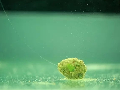 秋天草边钓鱼技巧_WWW.YUJUCEPING.COM