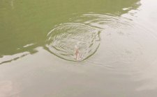 秋天钓鱼找鱼技巧