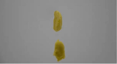 台钓中搓饵的技巧_WWW.YUJUCEPING.COM