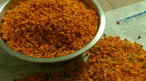 秋天钓罗非鱼技巧_WWW.YUJUCEPING.COM