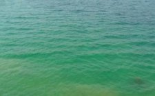 观察鱼情调整浮漂