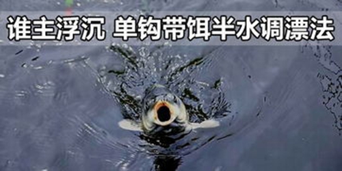 单钩带饵半水调漂法技巧_WWW.YUJUCEPING.COM