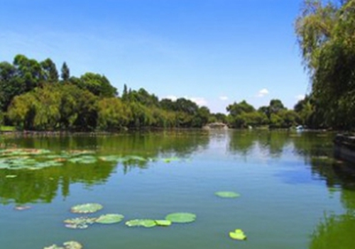夏天海竿池塘钓大鱼技巧_WWW.YUJUCEPING.COM