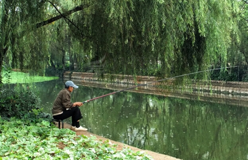 夏天肥水塘钓鲤鱼方法_WWW.YUJUCEPING.COM