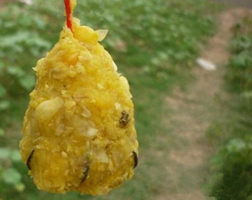水库玉米粒钓鱼打窝技巧_WWW.YUJUCEPING.COM