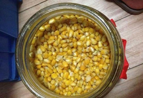 水库玉米粒钓鱼打窝技巧_WWW.YUJUCEPING.COM