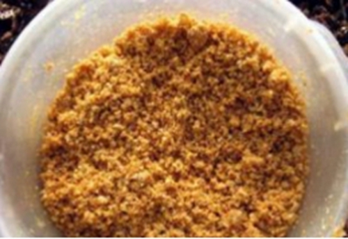 夏天夜钓用饵料技巧_WWW.YUJUCEPING.COM