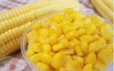水库玉米粒钓鱼打窝补窝攻略