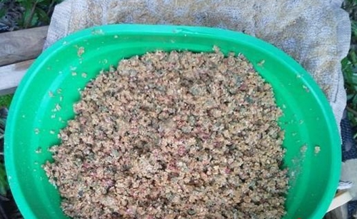 深秋钓鲤鱼饵料配方_WWW.YUJUCEPING.COM