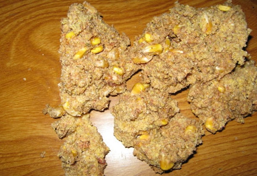 深秋钓鲤鱼饵料配方_WWW.YUJUCEPING.COM