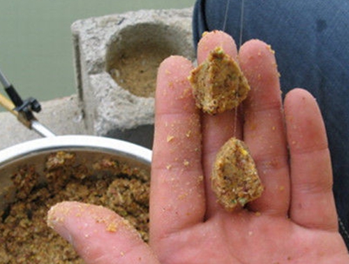 秋天黑坑钓鲤鱼的用饵技巧_WWW.YUJUCEPING.COM