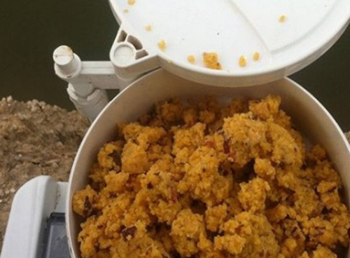 秋天黑坑钓鲤鱼的用饵技巧_WWW.YUJUCEPING.COM