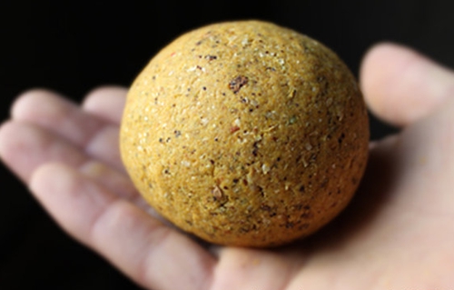 深秋钓鲤鱼饵料制作技巧_WWW.YUJUCEPING.COM