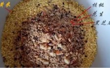 秋天钓鲤鱼窝料配方