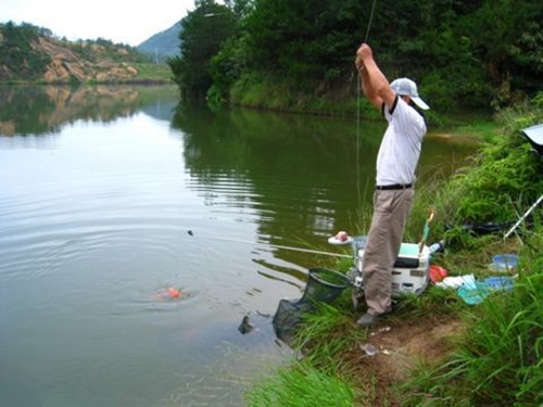 野钓用包食钓法的优点_WWW.YUJUCEPING.COM