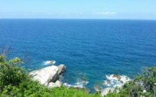 海边矶钓攻略