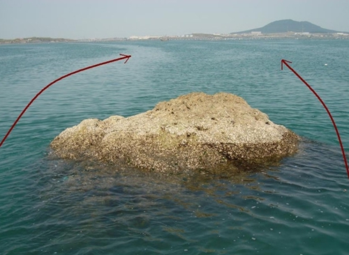 浮游矶钓打窝技巧_WWW.YUJUCEPING.COM
