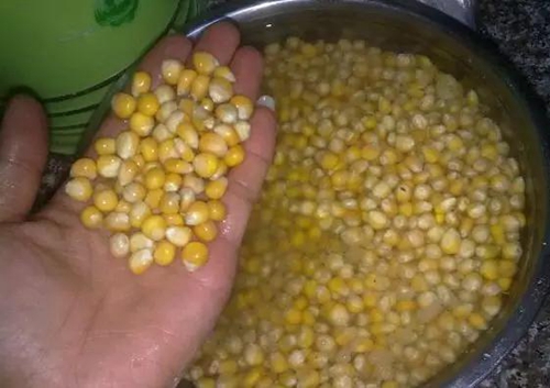 自制玉米饵料钓鱼方法_WWW.YUJUCEPING.COM