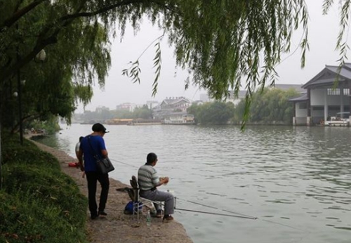 秋天钓鲫鱼要注意什么_WWW.YUJUCEPING.COM