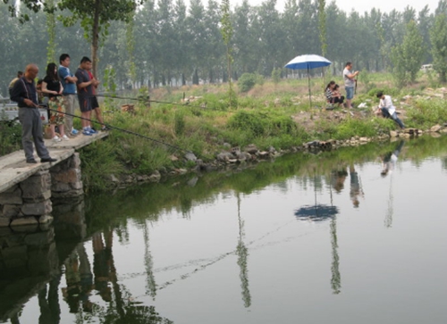 秋天钓鲫鱼要注意什么_WWW.YUJUCEPING.COM