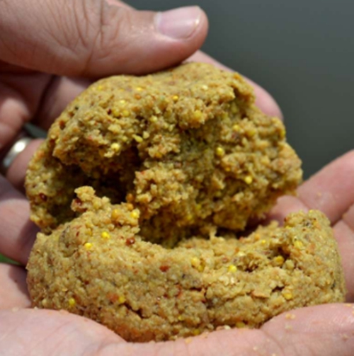 秋天池塘钓鲤鱼的饵料技巧_WWW.YUJUCEPING.COM