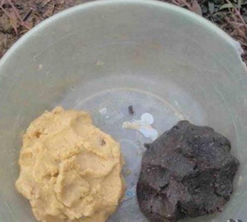 秋天钓鲤鱼的技巧_WWW.YUJUCEPING.COM