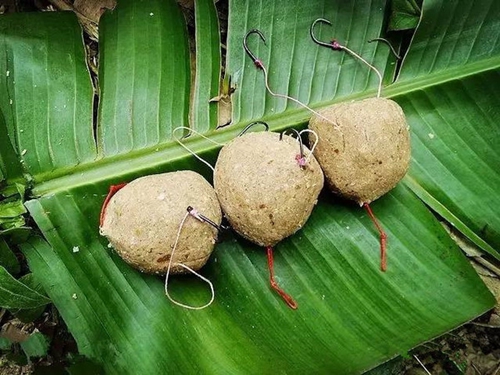 水草边钓鱼打窝的技巧_WWW.YUJUCEPING.COM