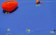 钓浮与浮钓的区别