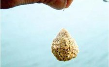 野塘包食钓法钓鱼鲫鱼